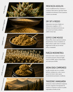 Mousse Dry Hash