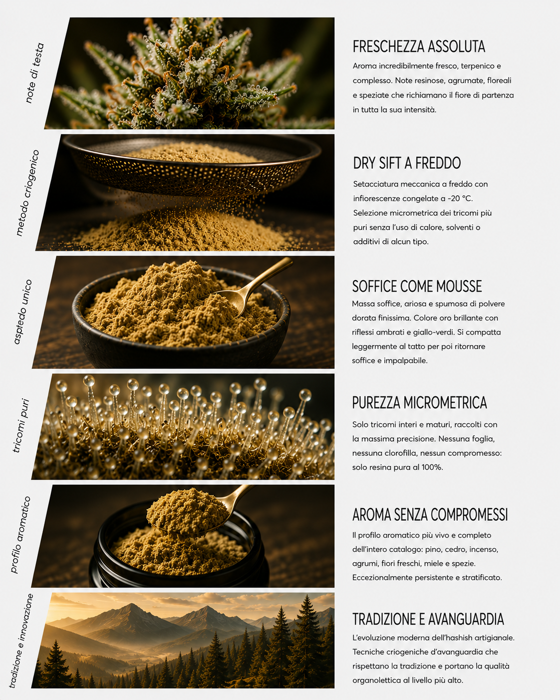 Mousse Dry Hash