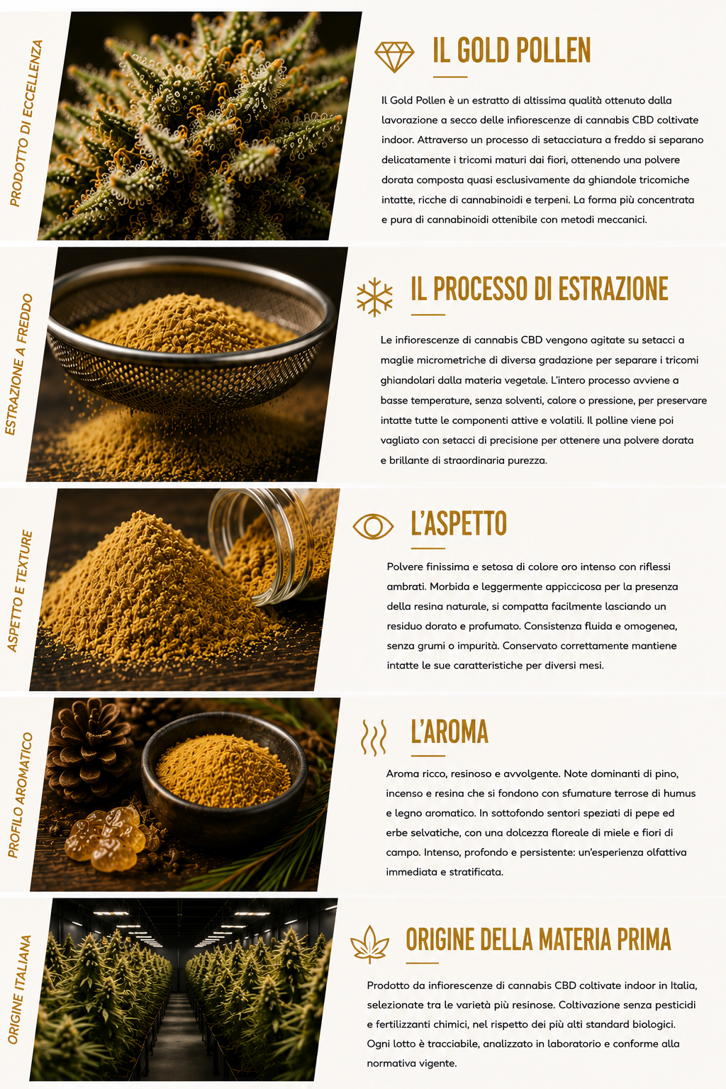 Gold Pollen
