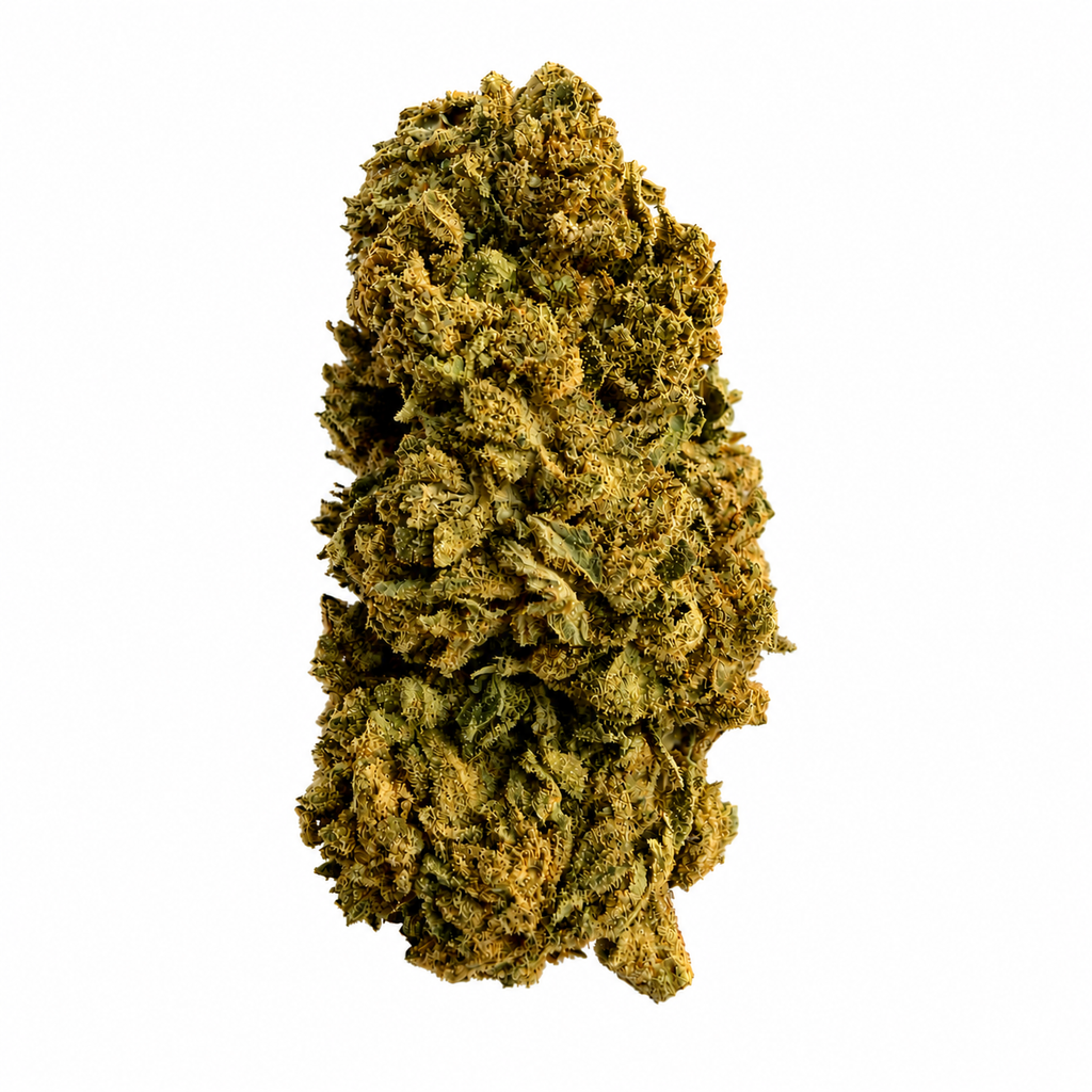 Gorilla Glue