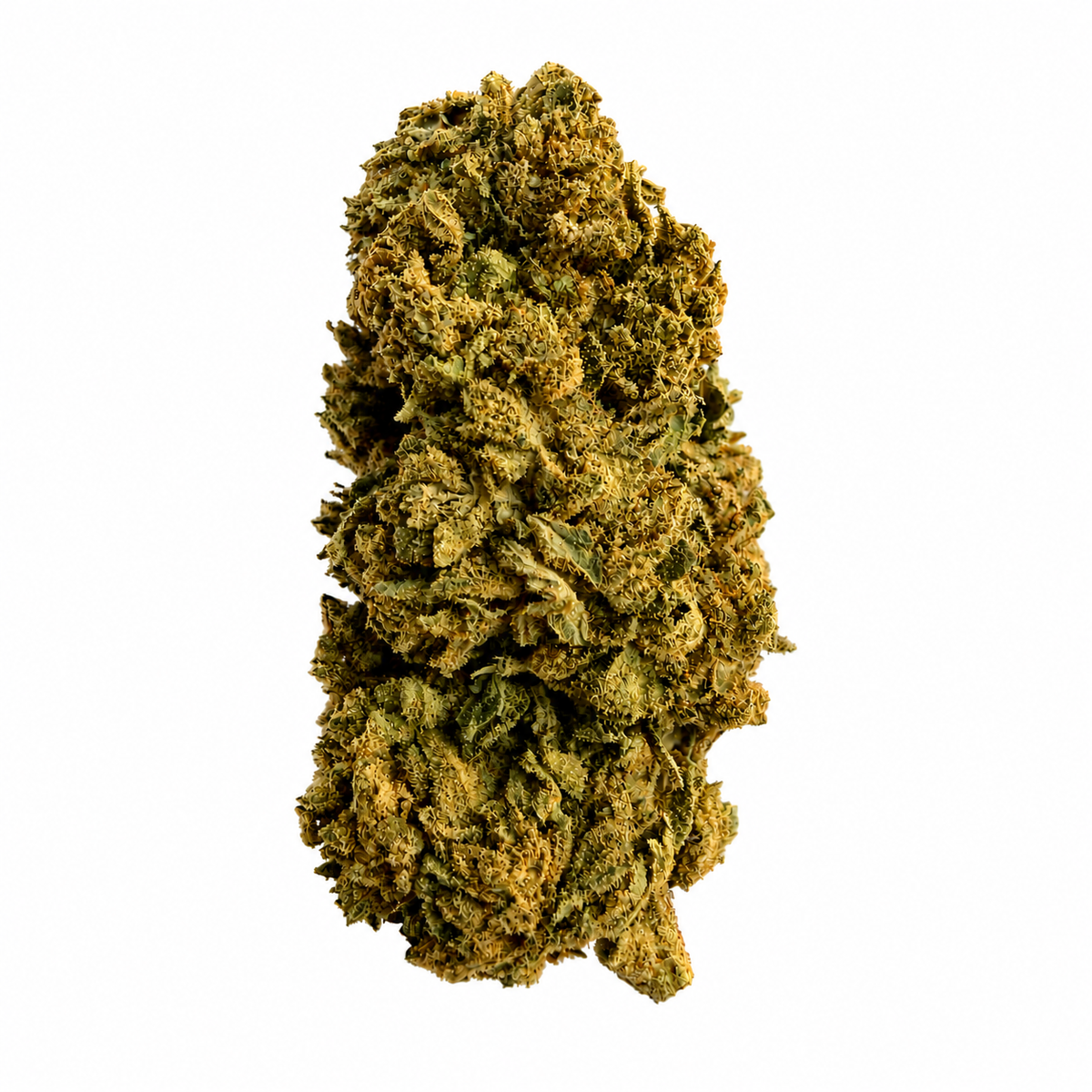 Gorilla Glue
