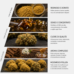 Moonrock Pollen