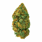 Orange Sherbert