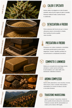 Primero Hash