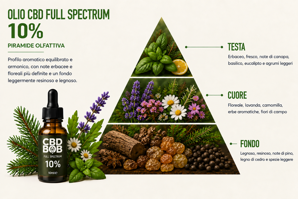 CBD oil </br>10% - 10 ml
