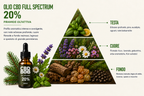 CBD oil </br>20% - 10 ml