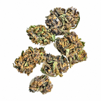 Small Bud Royal Gorilla