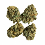 Small Bud Bubble Gum